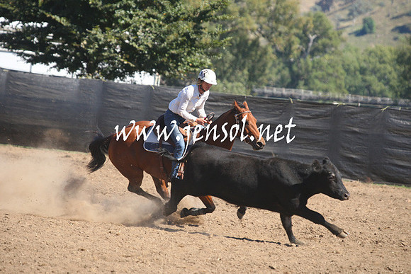 GundagaiGiddyup2013_1D_1513