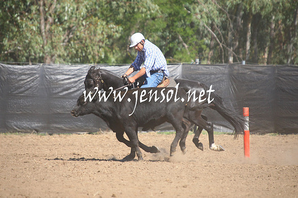 GundagaiGiddyup2013_1D_1559