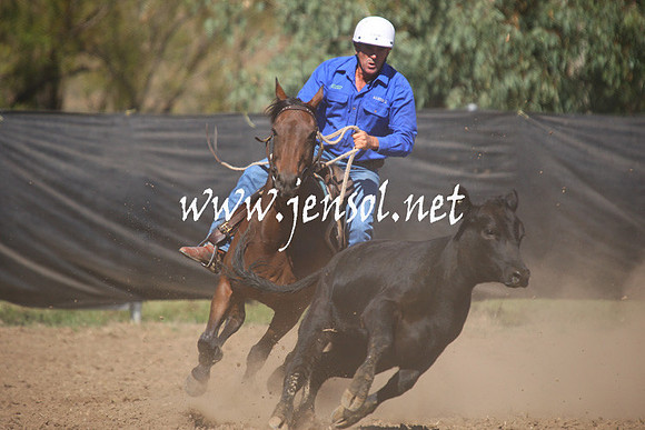 GundagaiGiddyup2013_1D_1459