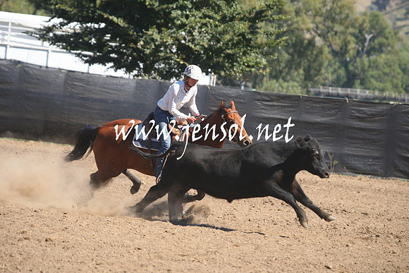 GundagaiGiddyup2013_1D_1512