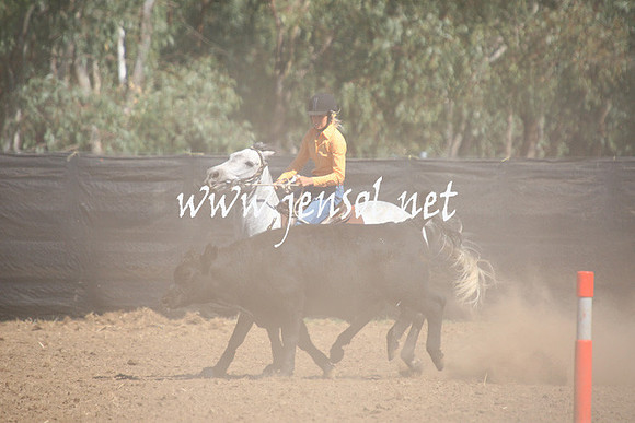 GundagaiGiddyup2013_1D_1688