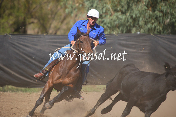 GundagaiGiddyup2013_1D_1461