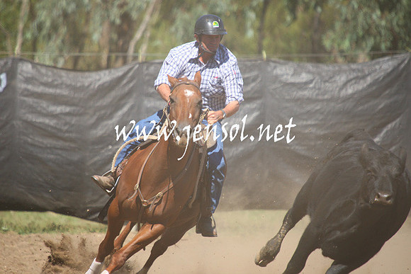 GundagaiGiddyup2013_1D_1705