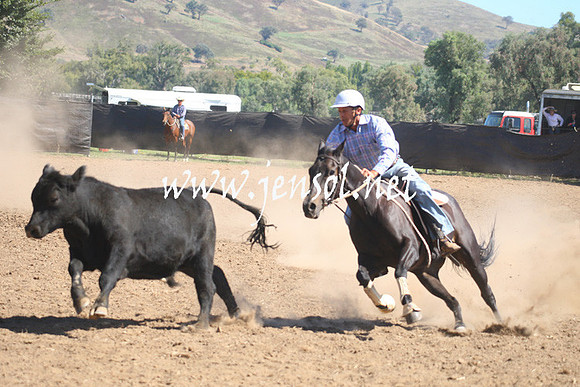 GundagaiGiddyup2013_1D_1794