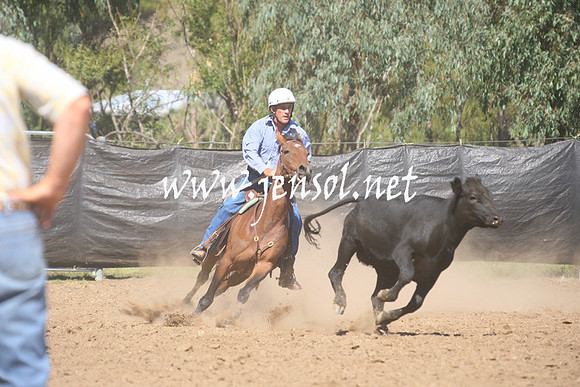 GundagaiGiddyup2013_1D_1751