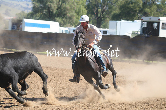 GundagaiGiddyup2013_1D_1671