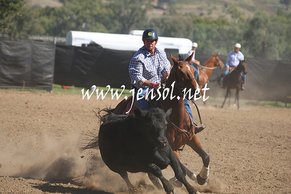 GundagaiGiddyup2013_1D_1420