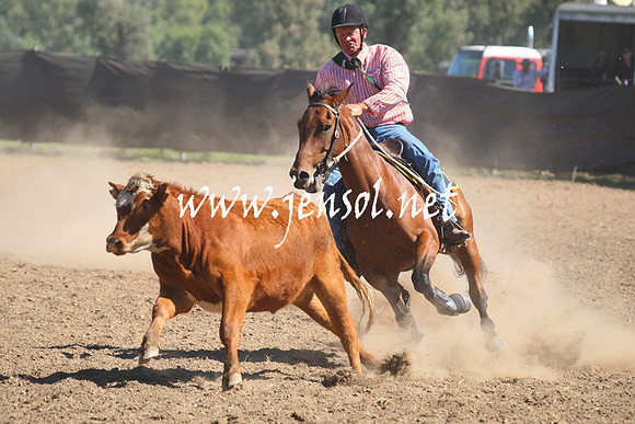 GundagaiGiddyup2013_1D_1691