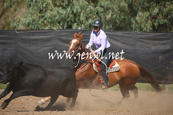 GundagaiGiddyup2013_1D_1439