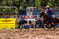 IMG_0317