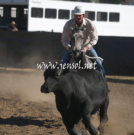GundagaiGiddyup2013_1D_1249