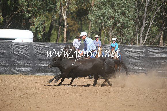 GundagaiGiddyup2013_1D_1376
