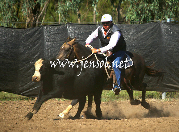 GundagaiGiddyup2013_1D_1294