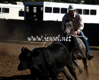 GundagaiGiddyup2013_1D_1247