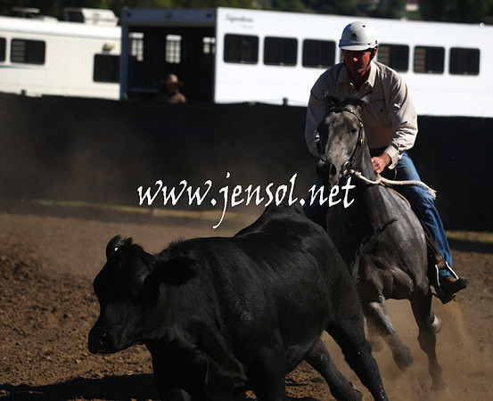 GundagaiGiddyup2013_1D_1247