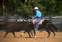 GundagaiGiddyup2013_1D_1264