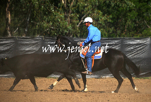 GundagaiGiddyup2013_1D_1264