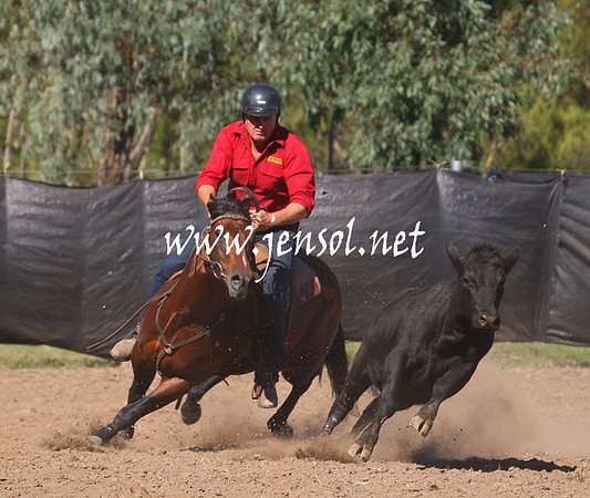 GundagaiGiddyup2013_1D_1341