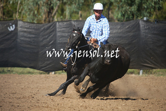 GundagaiGiddyup2013_1D_1353