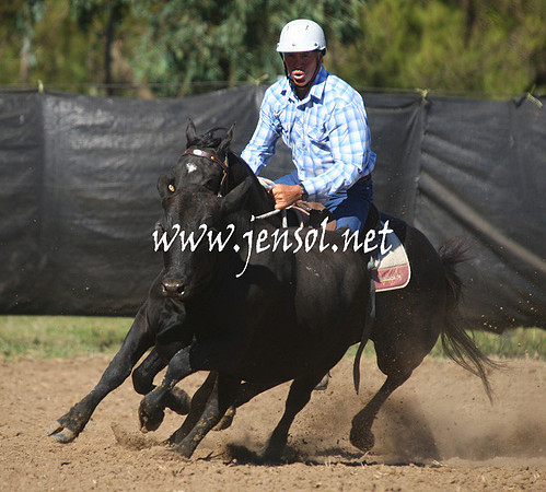 GundagaiGiddyup2013_1D_1350