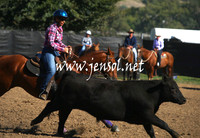 GundagaiGiddyup2013_1D_1282
