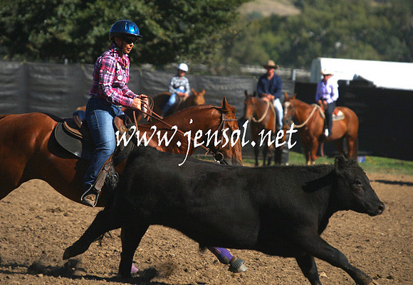 GundagaiGiddyup2013_1D_1282