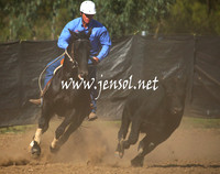 GundagaiGiddyup2013_1D_1250