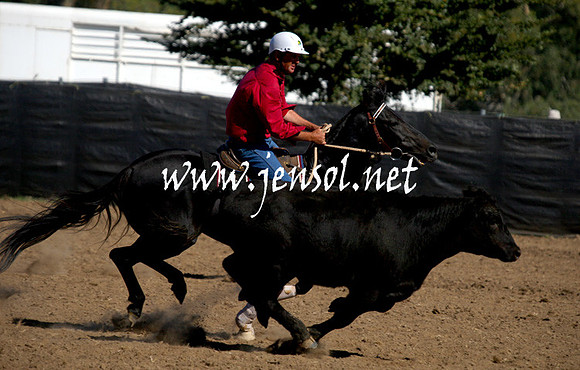 GundagaiGiddyup2013_1D_1271