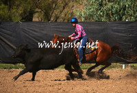 GundagaiGiddyup2013_1D_1280