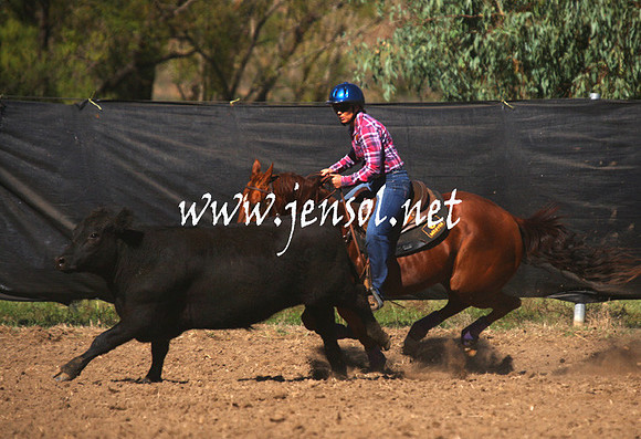 GundagaiGiddyup2013_1D_1280