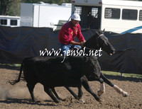 GundagaiGiddyup2013_1D_1274