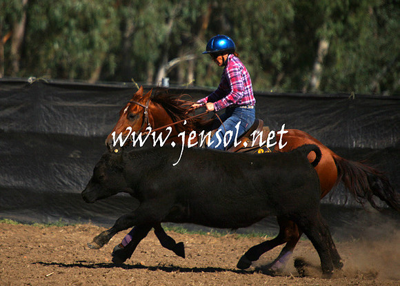 GundagaiGiddyup2013_1D_1290
