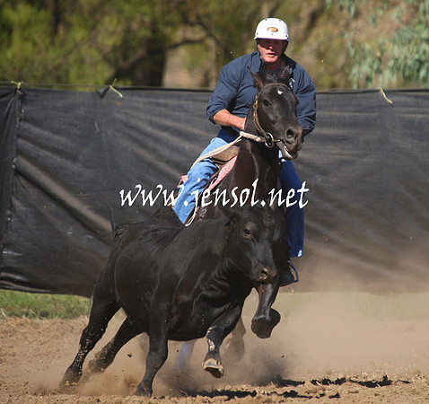 GundagaiGiddyup2013_1D_1384