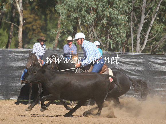 GundagaiGiddyup2013_1D_1370