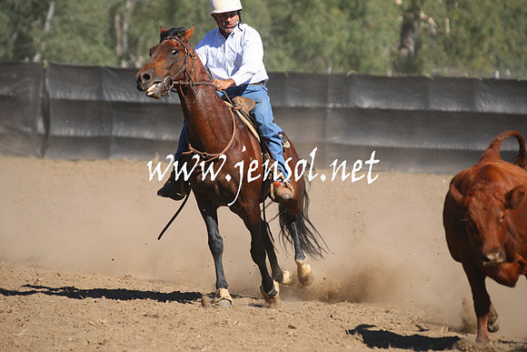 GundagaiGiddyup2013_1D_1330