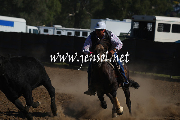 GundagaiGiddyup2013_1D_1313