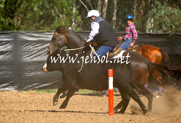 GundagaiGiddyup2013_1D_1317