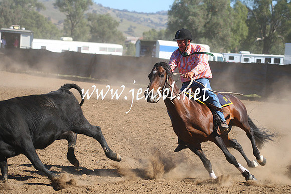 GundagaiGiddyup2013_1D_1349