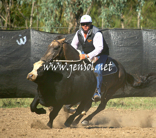 GundagaiGiddyup2013_1D_1296