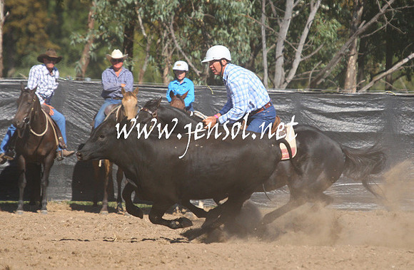 GundagaiGiddyup2013_1D_1371