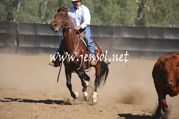 GundagaiGiddyup2013_1D_1331