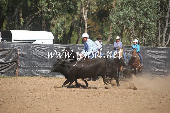 GundagaiGiddyup2013_1D_1373