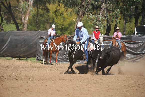 GundagaiGiddyup2013_1D_1374