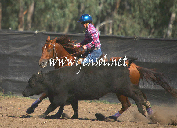 GundagaiGiddyup2013_1D_1289