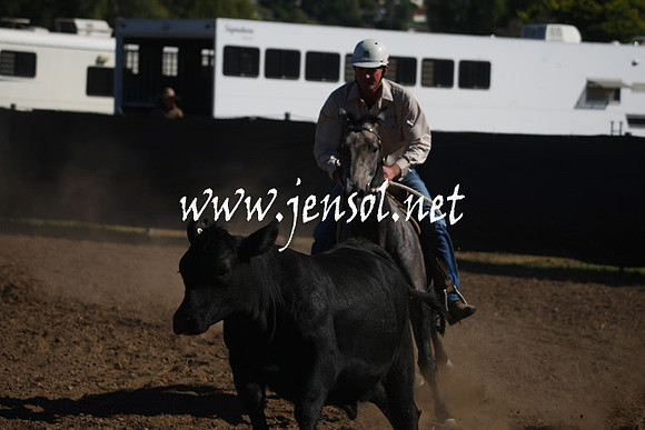 GundagaiGiddyup2013_1D_1248
