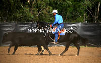 GundagaiGiddyup2013_1D_1263