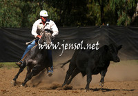 GundagaiGiddyup2013_1D_1242