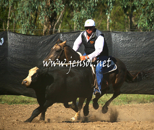 GundagaiGiddyup2013_1D_1295