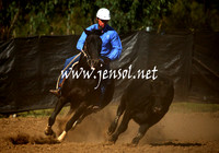 GundagaiGiddyup2013_1D_1251