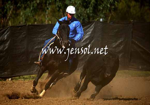 GundagaiGiddyup2013_1D_1251